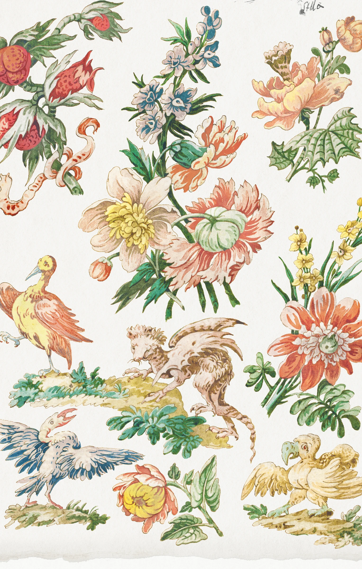 Bloemenontwerp met vogels