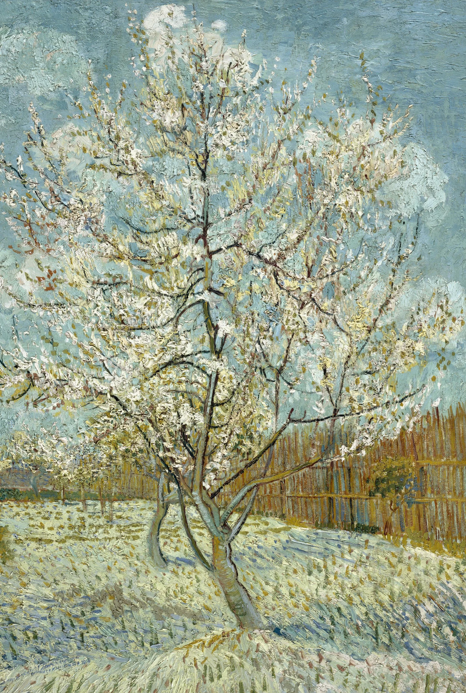 De roze perzikboom