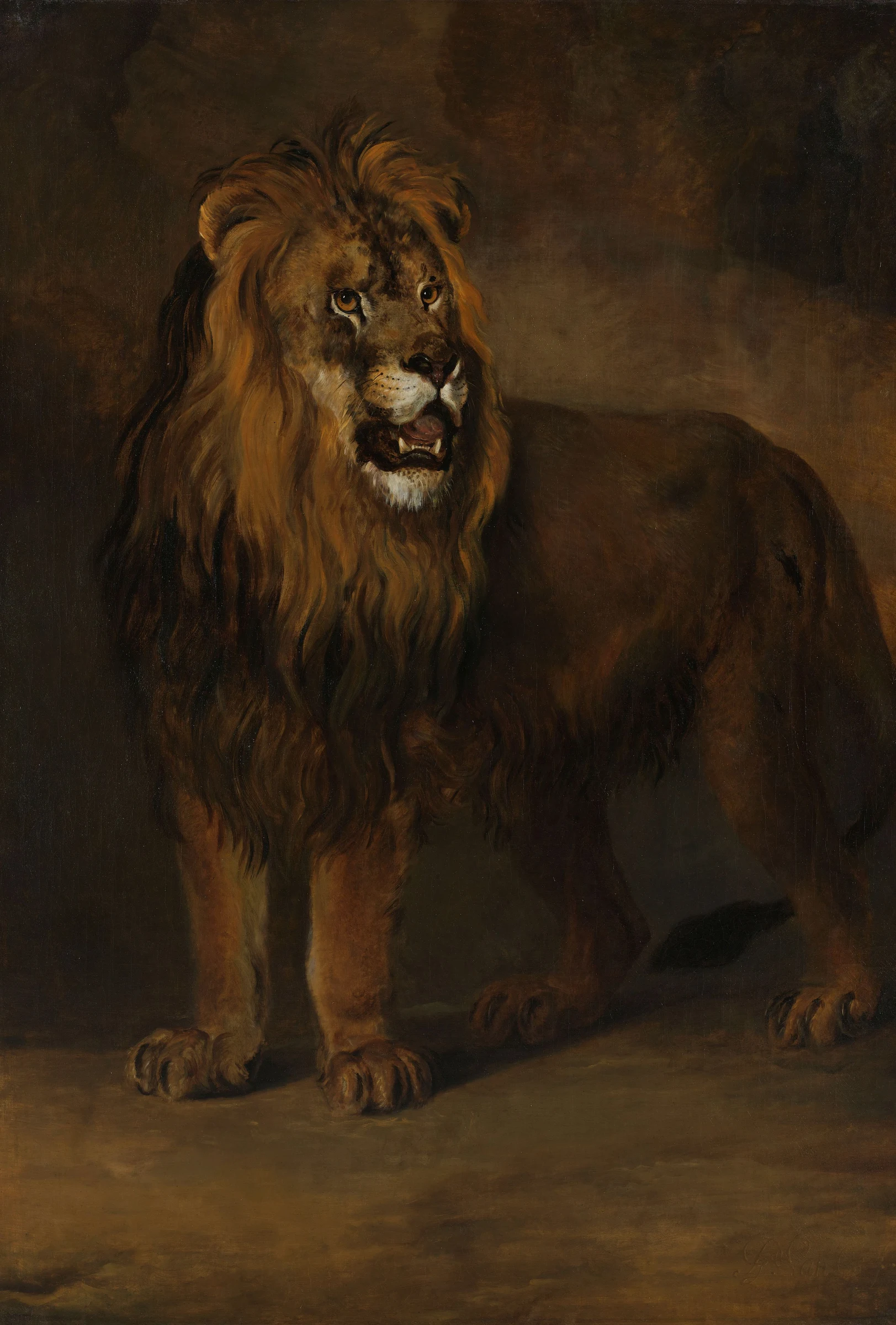 Een leeuw uit de menagerie van koning Lodewijk Napoleon