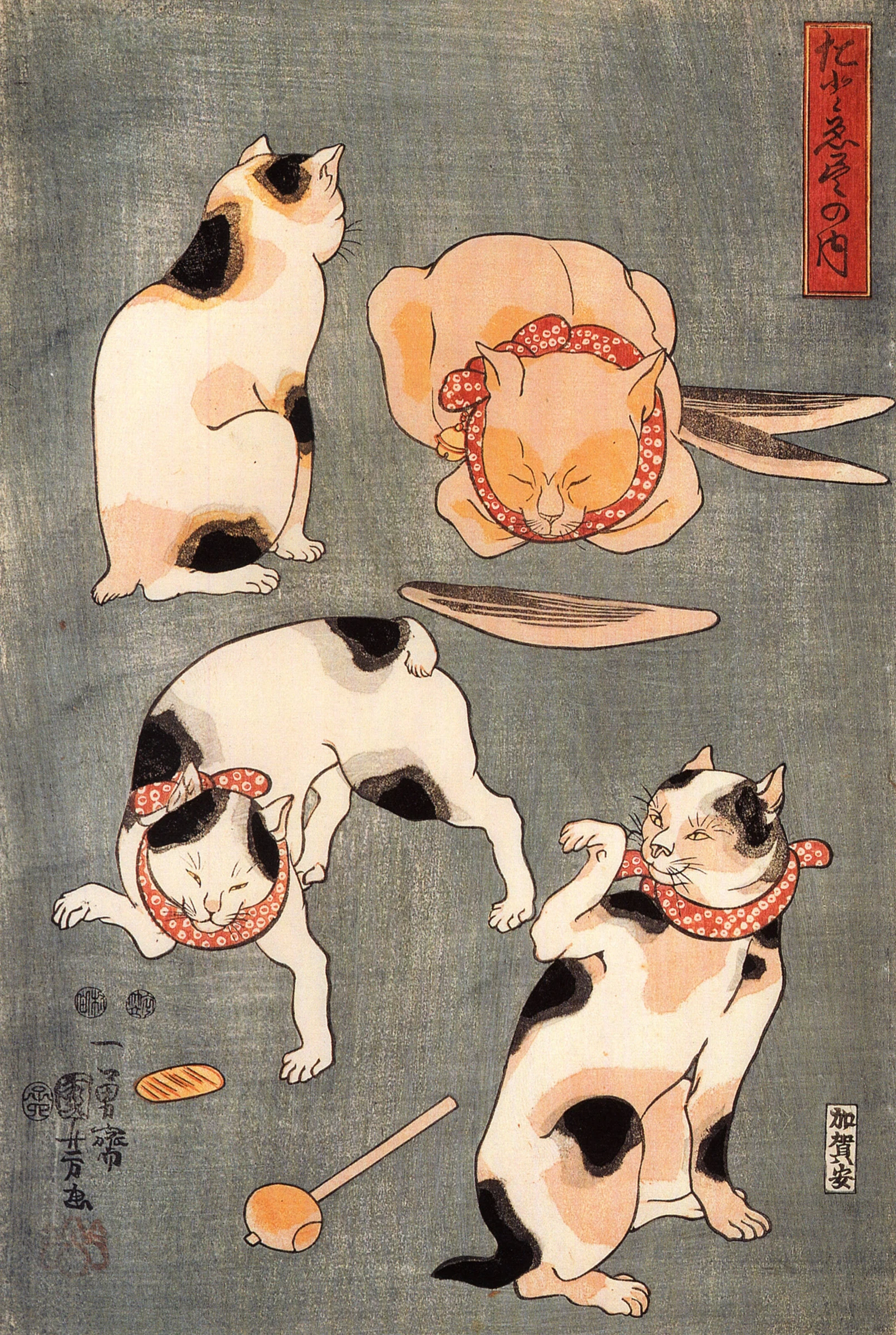 Japanse Katten
