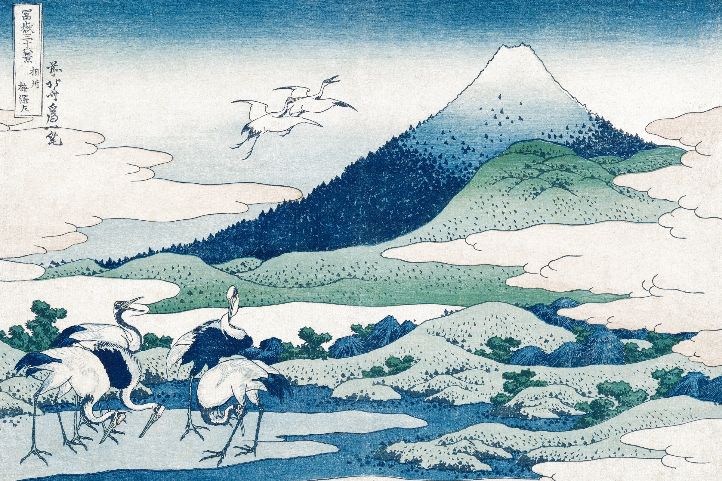 Umezawa reigers in de Provincie Sagami