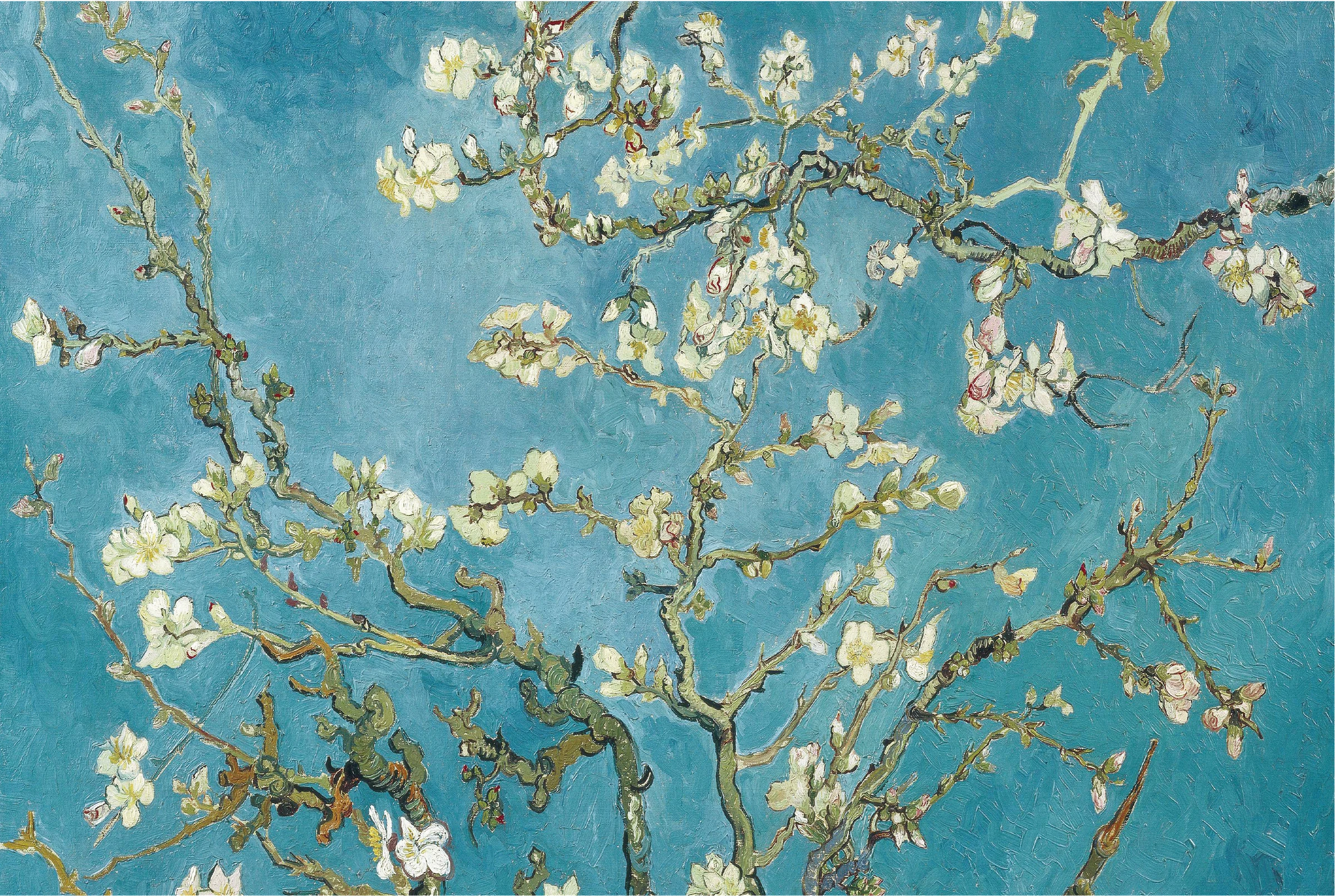 Van Gogh's Amandelbloesem